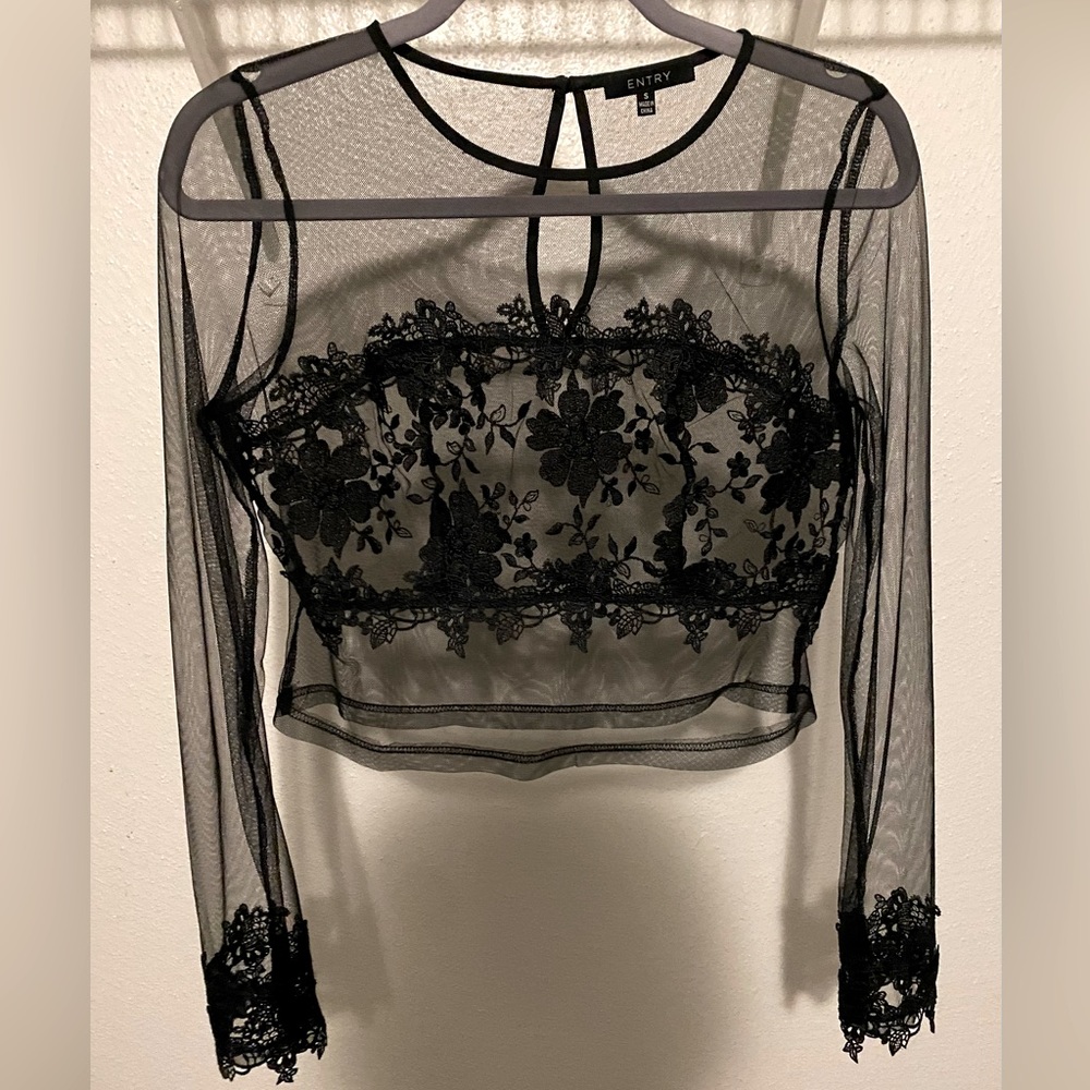 Sheer Black Long-sleeve Crop Top